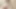 Amazing Private Show with Cumming to Your Mouth