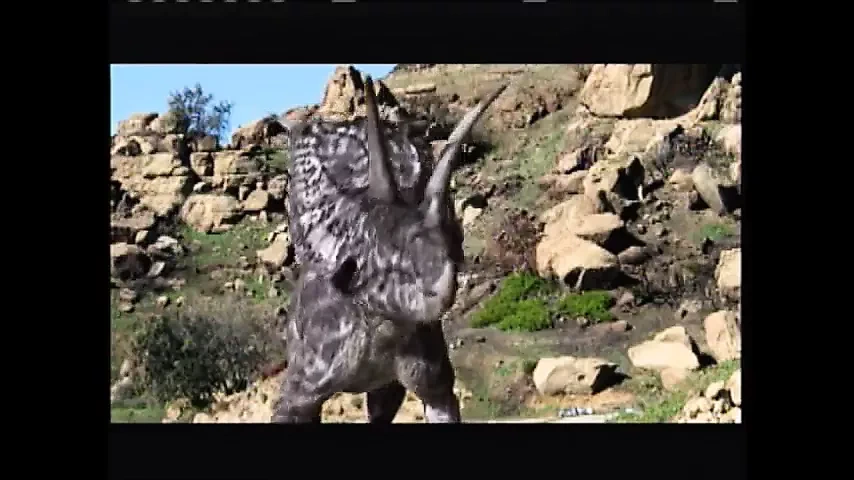 比基尼时光机器（电影 2011）