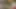 Striptiz Dünya ve Ateş oyunu heyecanlı bir büküm sunuyor