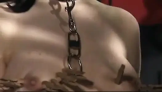 Sesi bdsm pelacur jerman dientot habis-habisan