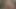 Evli çift Dünya Kupası maçında kanepede vahşi seks yapıyor - tam video