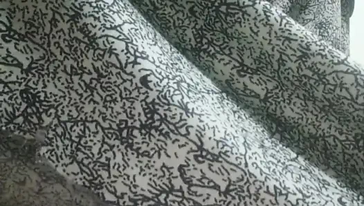 Desi Beauty in Elegant Gown - Slow Tease & Intense Solo Play - No Face - 4K Ultra HD