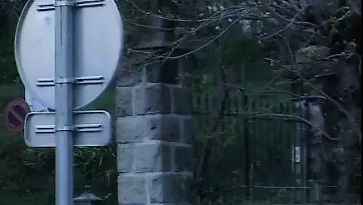 Eine wilde tiefe große liebe zu einer bösen schlampe