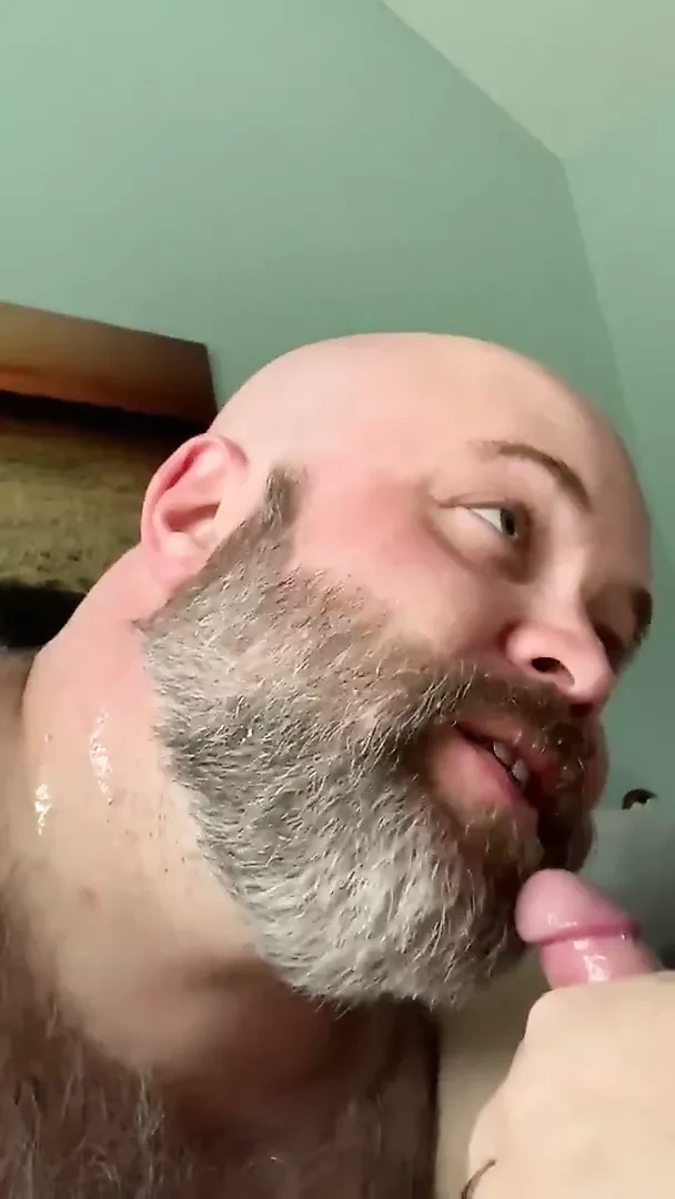 Bear facial