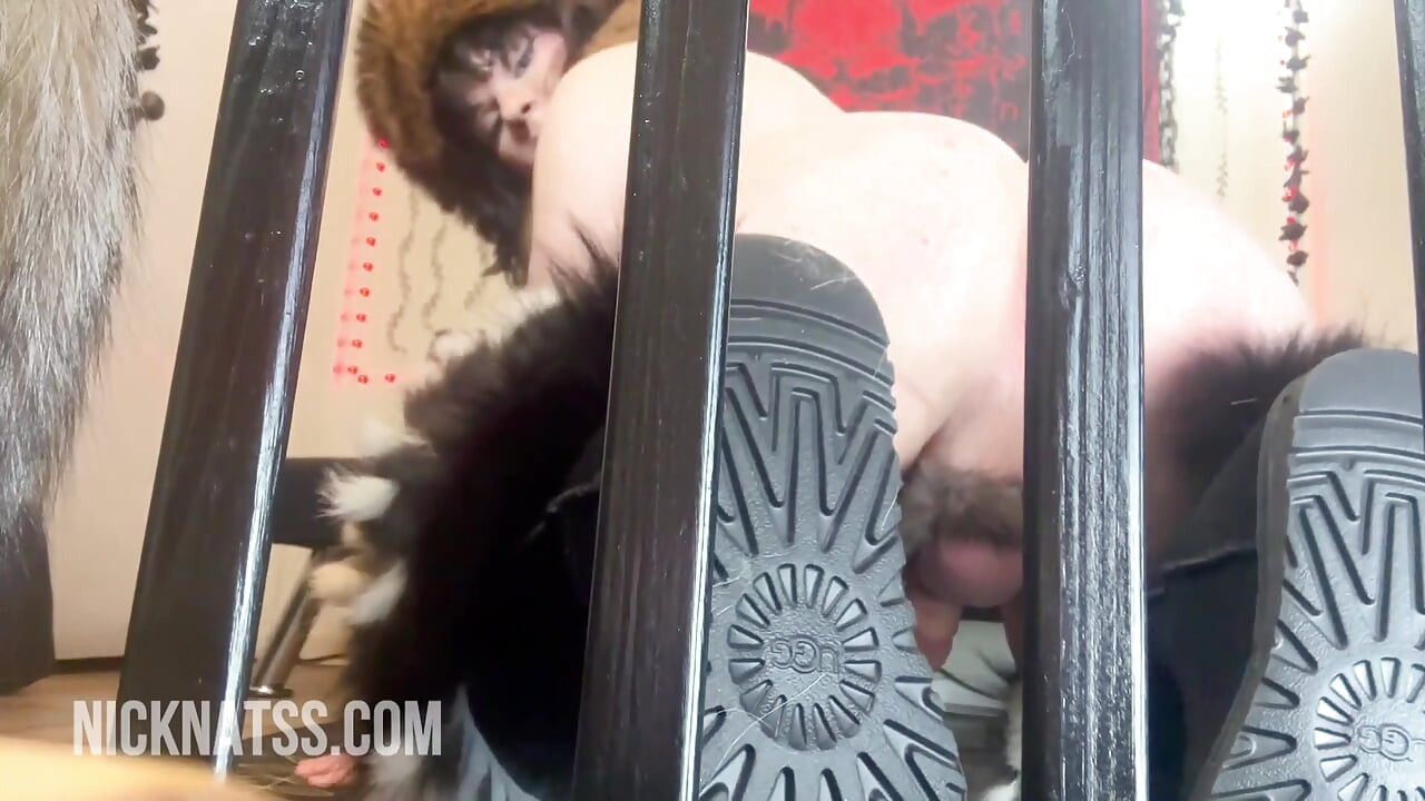 Just Get in the Cage