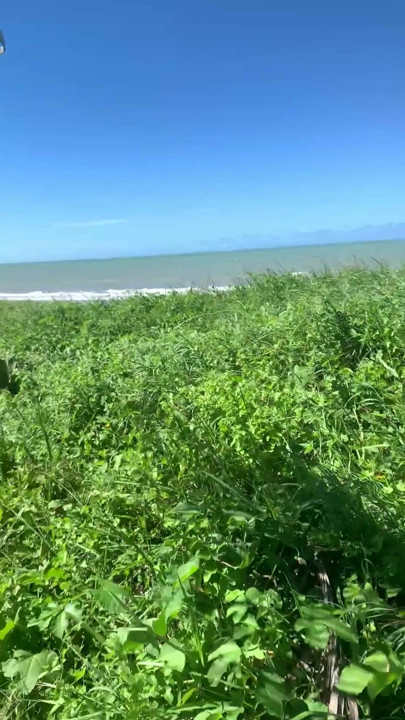 big dick on the beach | Clip 1