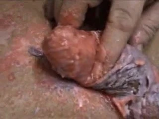 wax cock 5
