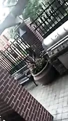 Latina getting doggy after work