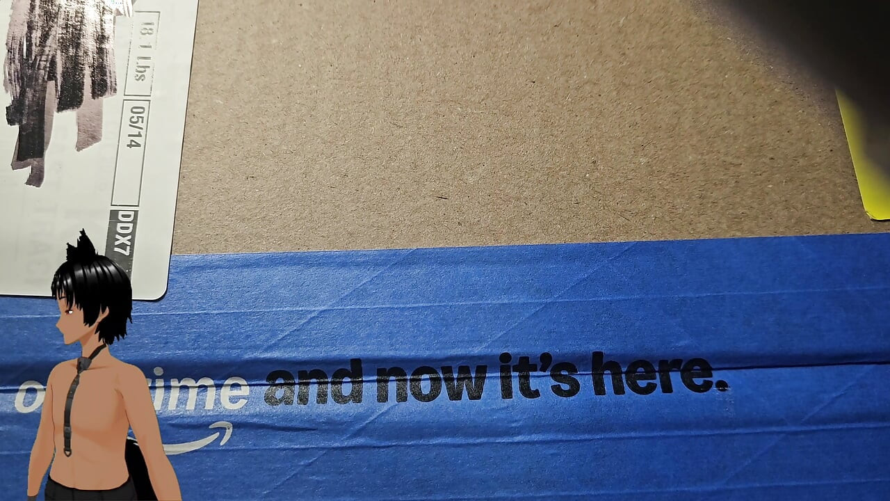 Should you put your dick in it!? - Got a new toy and it is heavy