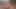 Summer Passion - 3D Futanari Animation