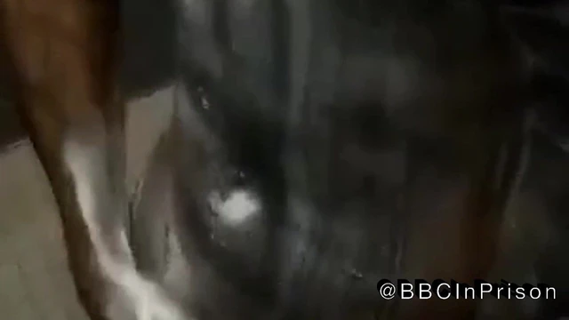 BBC RUB IT