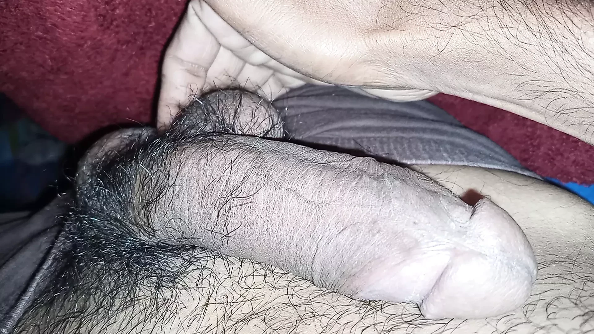 괴물처럼 긴 페니스