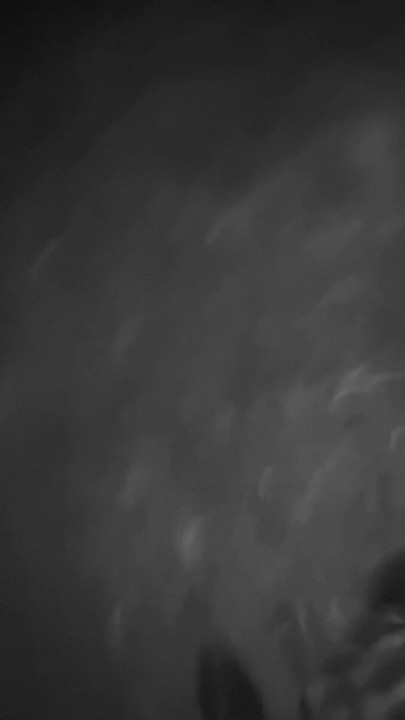 Ormanda yarak alıyor | Klip 1