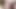 Zeigt den tollen Schwanz im Zoom aus nächster Nähe