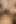 Düzgün vücutlu esmerler yerde yarı çıplak mastürbasyon yapıyor