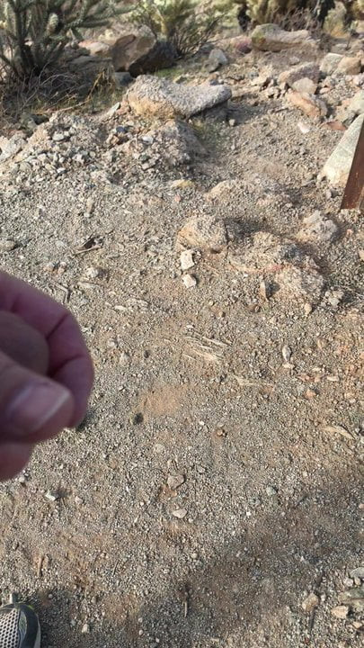 Hiking