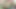 老人は僕の足が大好き