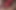 Hand Job with Vibrating Stick Deep Massage Huge Cum