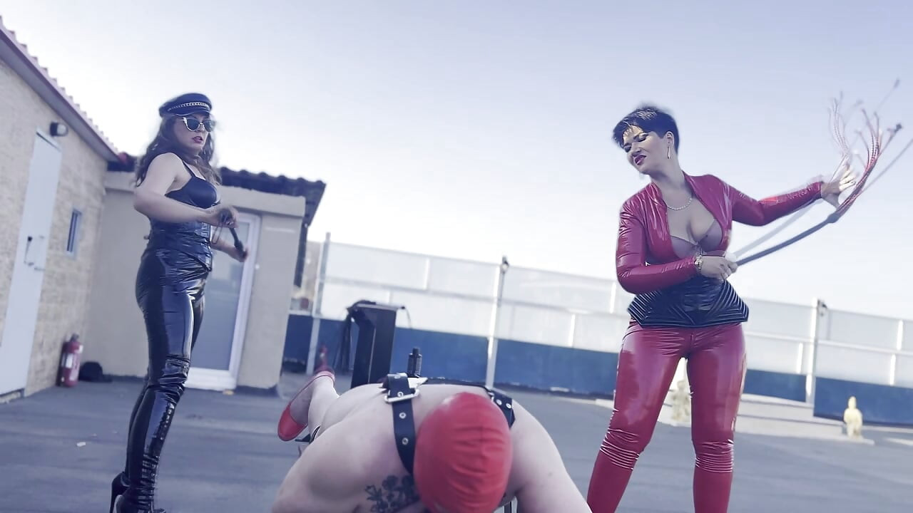 400 rzęs dla powściągliwej maminsynek suki