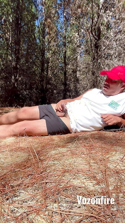 POV Secret Forest Alone