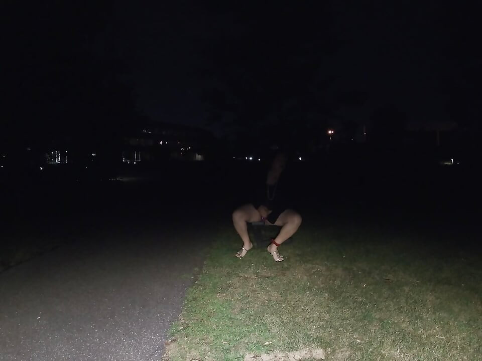 Nachtelijke rijpe cd-plezier buitenshuis alleen in het park