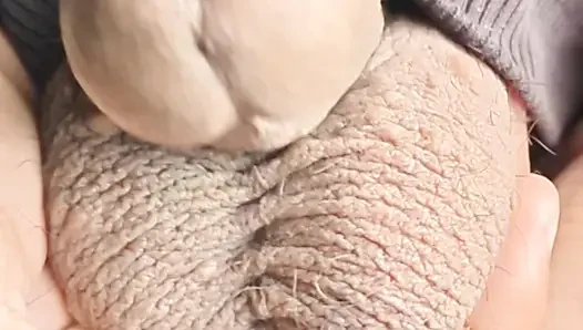 Real Indian Guy Cumshot Challenge - Who Can Shoot the Most