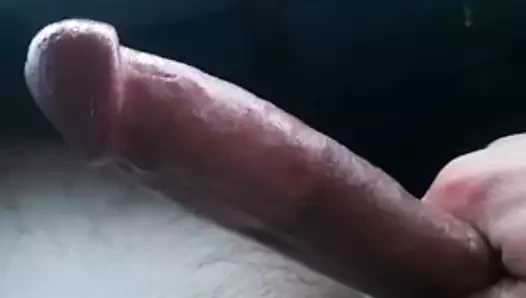 J'exhibe ma bite