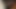POV Blowjob