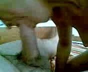 video 4