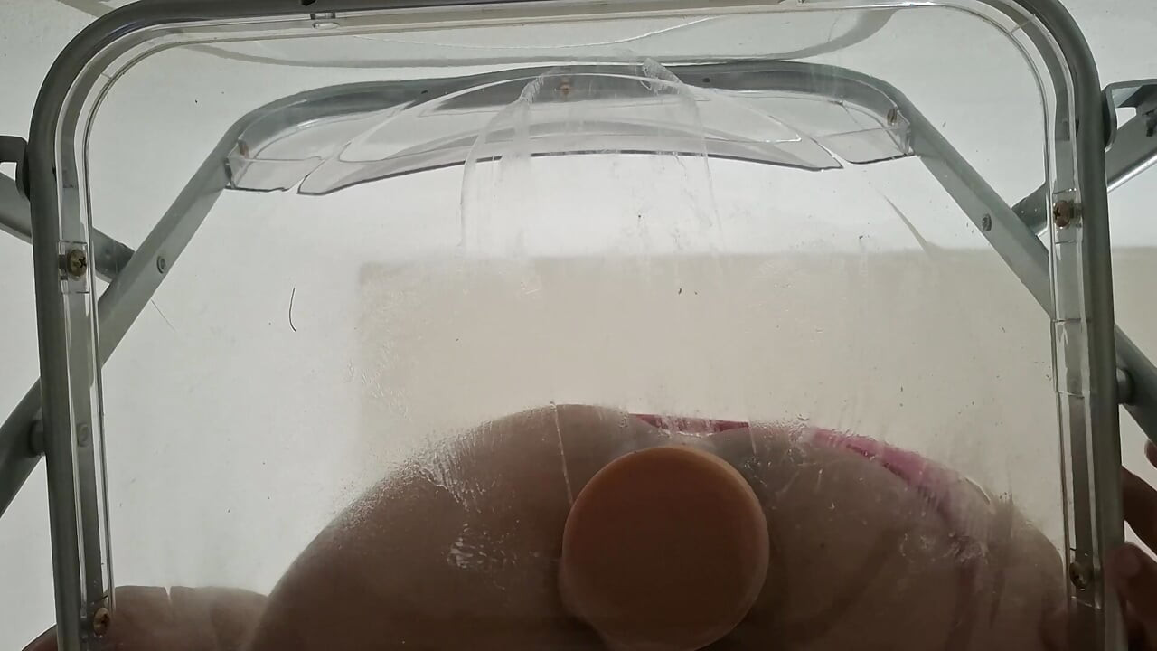 Trans Fat Ass Gwen Facesitting and Anal Fucked with Creampie through Clear Chair for the First Time.