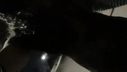 내 거리를 산책하는 중.