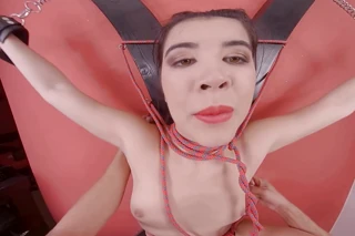 BDSM: Prickly Roses