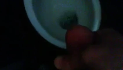 Toelett'e boşalma