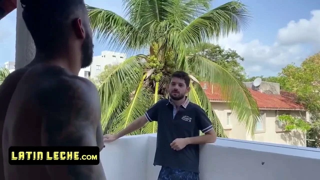 NEW VIDEO 550