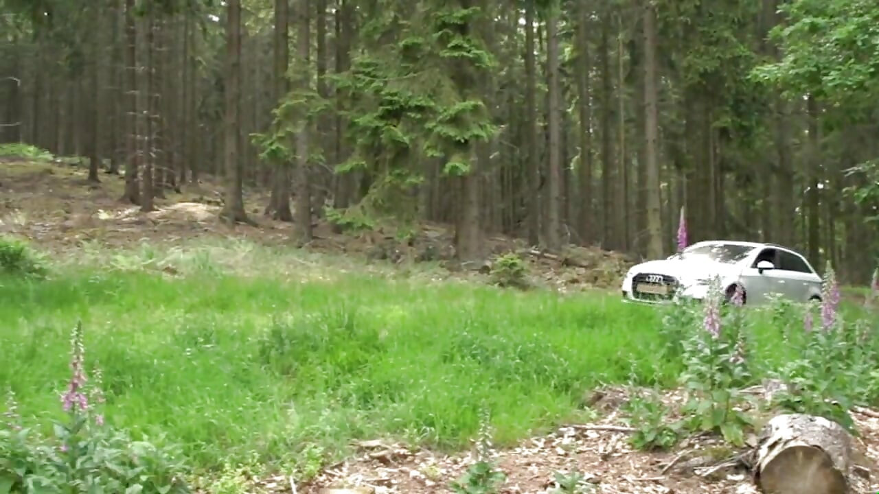 Päämetsänhoitaja - koko elokuva