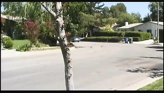 Büyük memeli sarışın uzman gibi yarak emiyor ve amını sert siktiriyor