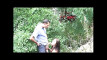 Pregled videozapisa