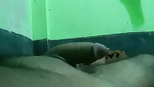 Yeni video gay bd