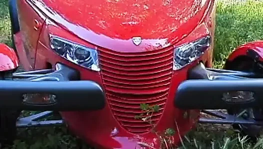 Rimming My Prolapsed Asshole Till Dripping Wet Rosebud