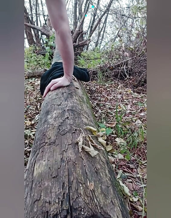 A young crossdresser in a cute outfit is impaled on a dildo and is riding it in the forest.