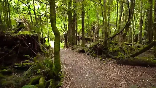 Evi temizliyorum, patrondaydım ve sırtım çok acıtıyordu, patronum beni rahatlatıyor, tam Hintçe viral video