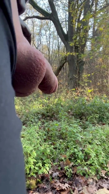 Must-share moment from "I wear see-through leggings in a public park"