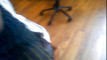 Pregled videozapisa