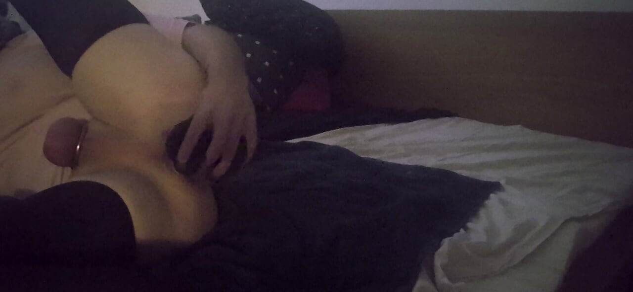 Gos CD leži u krevetu i igra se