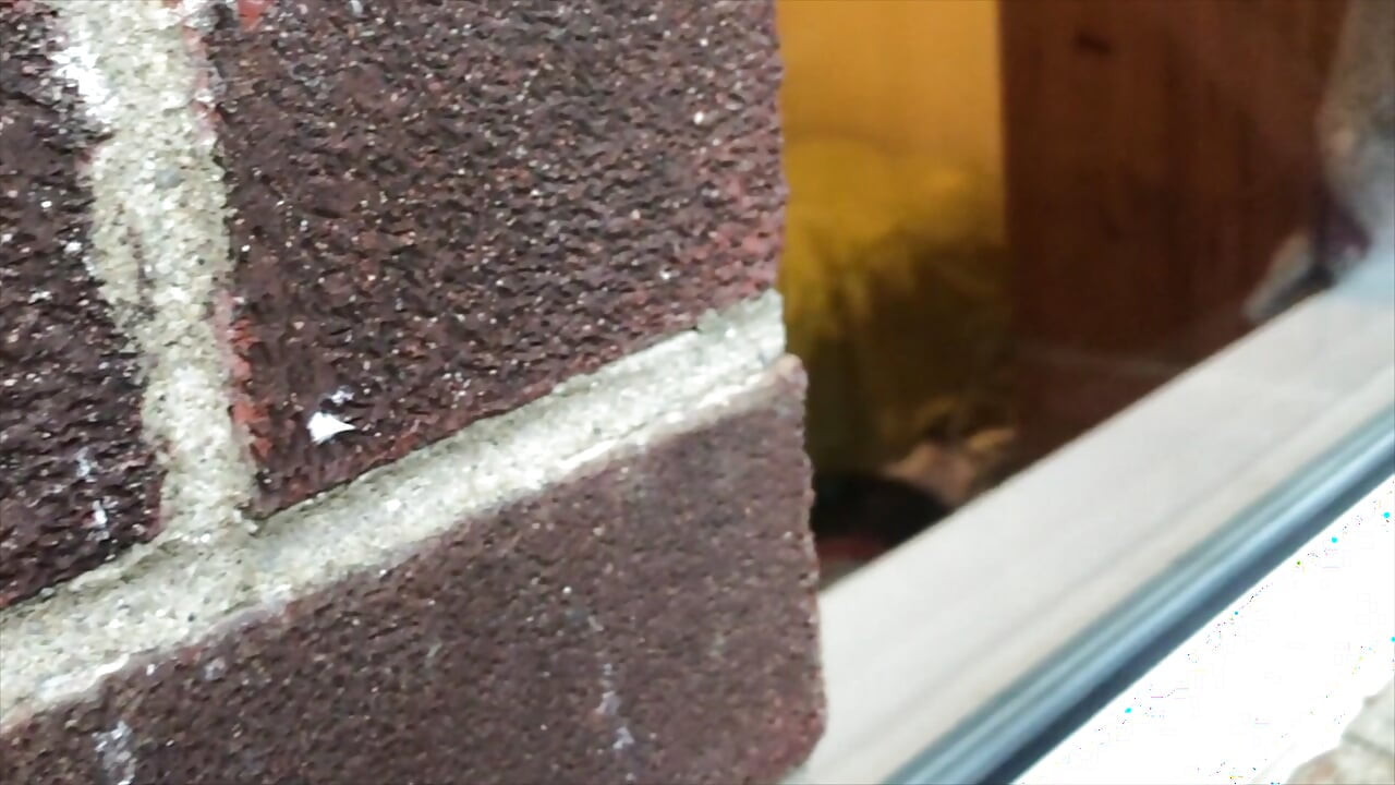 lucky builders looking through the window part 3
