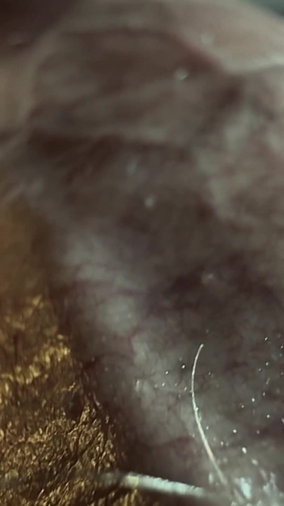 Good Close-up Shot of the Cumshot.