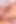 Transerotica Marissa Minx ve Chanel Santini karşılıklı oral seks
