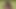 ジムのスラッツ
