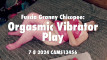 Pregled videozapisa