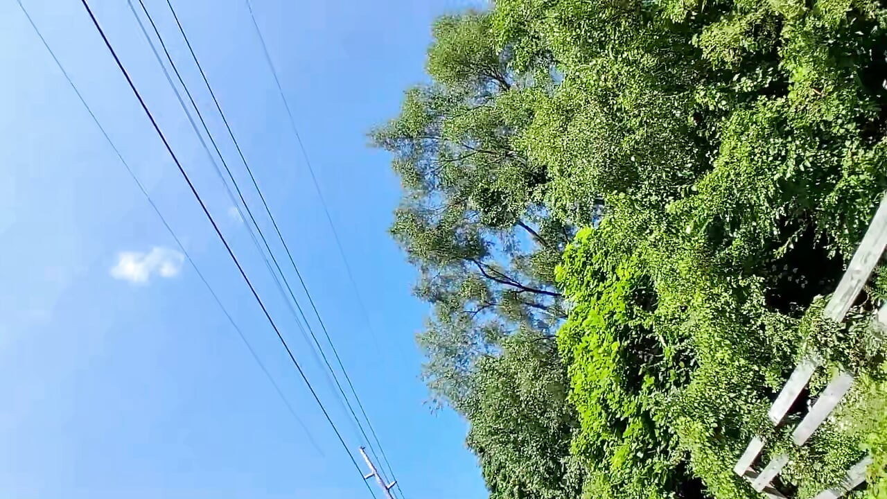 Naked trail ride